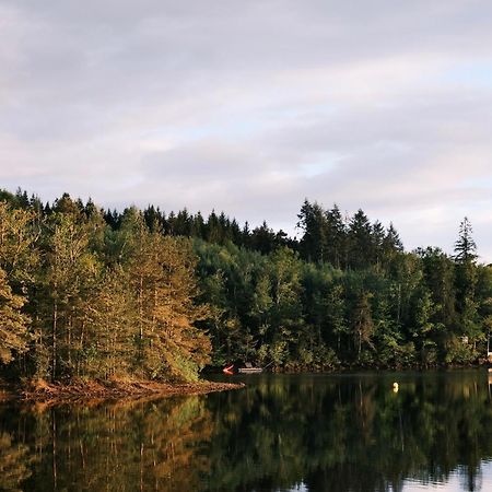 Lodge Avec Spa Privatif - Foret Et Lac Liginiac Ngoại thất bức ảnh
