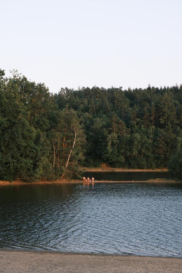 Lodge Avec Spa Privatif - Foret Et Lac Liginiac Ngoại thất bức ảnh