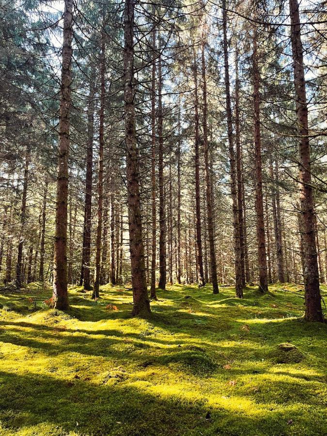 Lodge Avec Spa Privatif - Foret Et Lac Liginiac Ngoại thất bức ảnh