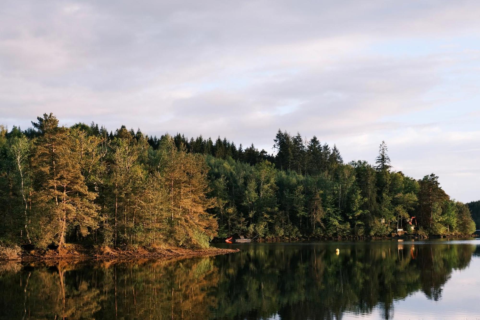 Lodge Avec Spa Privatif - Foret Et Lac Liginiac Ngoại thất bức ảnh